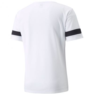 2. Puma teamRISE Trikot M 704932 04