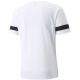 2. Puma teamRISE Trikot M 704932 04