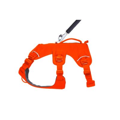 3. Ruffwear Web Master Harness – Leuchtorange, Größe: M