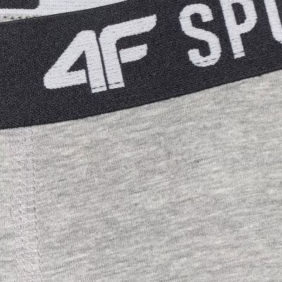 5. Jungen-Boxershorts 4F M061 3er-Pack mehrfarbig 4FJWAW25UBXSM061 90S