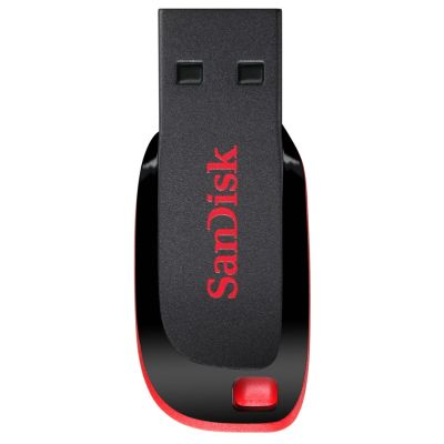11. SanDisk Cruzer Blade SDCZ50-128G-B35 USB-Stick (128 GB; USB 2.0; Schwarz)