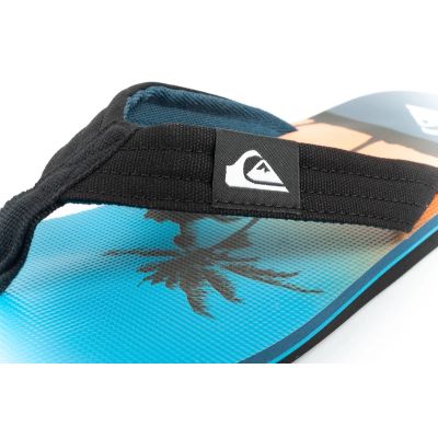 14. Quiksilver Molokai Herren-Flip-Flops, modisch und bequem für den Strand