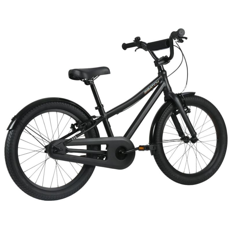 2. Batch Alu 20” Fahrrad, matt schwarz (B374355W)