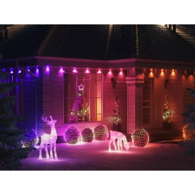 8. Twinkly Strings – 750 RGB-Lichterkette, schwarzes Kabel, Steckertyp F