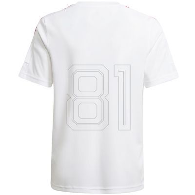 9. adidas Squadra 21 Trikot Jugend Jr GN5741