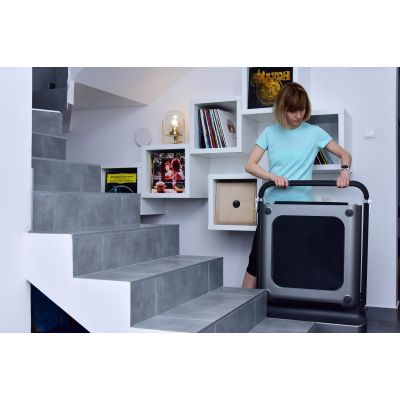 111. Kingsmith WalkingPad TRR1F R1 Sport-Laufband