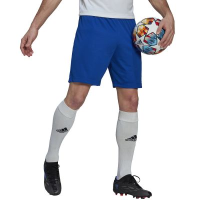 4. adidas Entrada 22 M HG6294 Shorts