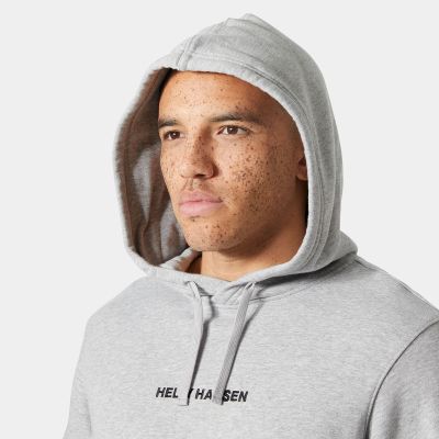 2. Helly Hansen Herren CORE HOODIE 54525 949