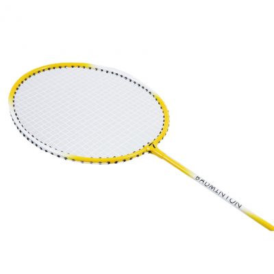 3. SMJ Teloon TL100 Badmintonschläger 