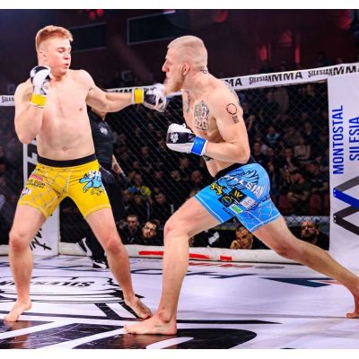 13. MMA-Sparringhandschuhe S/M - Edge - Valor Series