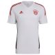 adidas FC Bayern Training T-Shirt M HB0621
