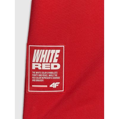 8. Herren-Baumwoll-Fächer-T-Shirt 4F 4FRSS26TTSHM4200-62S