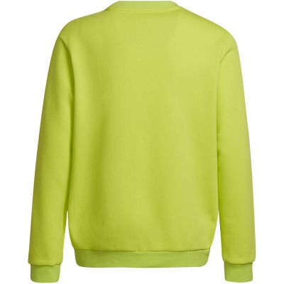 2. Adidas Entrada 22 Sweat Top Jr HC5043 Sweatshirt