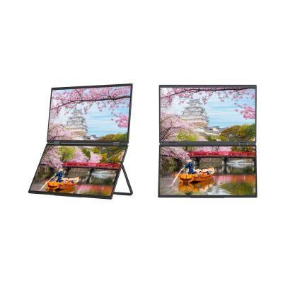 3. JAPANNEXT 39,6 cm JN-DMD-IPS156F Dual FHD Monitor
