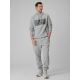 6. Herren-Kapuzenpullover, regulär, Größe 4F 4FRSS26TSWSM2975-20S