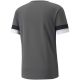 2. T-shirt Puma teamRISE Smoked M 704932 13