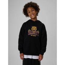 Lockere Jungen-Sweatjacke mit Kapuze 4F 4FJRAW26TSWSM3196-20S