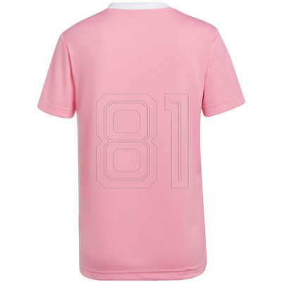 7. adidas Entrada 22 Trikot W HC5075