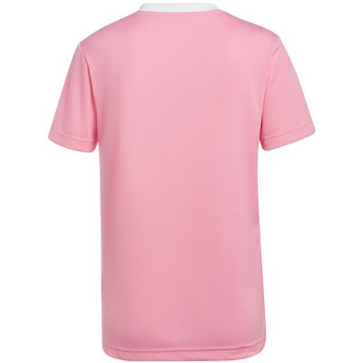 7. adidas Entrada 22 Trikot W HC5075
