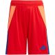 6. adidas Tiro 24 Jr IT2422 Shorts