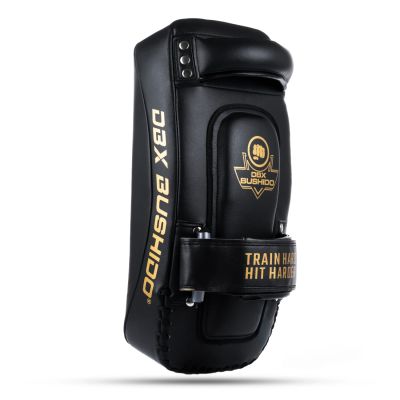 7. PAO Gold Thai Shields Paar | ProFighter | DBX Bushido