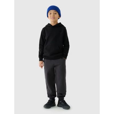 2. Jungen-Sweatshirt mit Kapuze, offen, 4F Junior 4FJWMM00TSWSM1292-20S