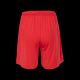 2. VETROP SHORTS TM SENIOR Trainingsshorts