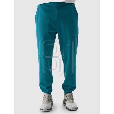 3. Pants 4F M 4FWSS24TTROM603 46S
