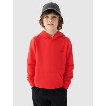 Jungen-Sweatshirt mit Kapuze, offen, 4F Junior 4FJWMM00TSWSM1292-70S