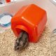 9. FERPLAST Combi 1 - Hamsterkäfig