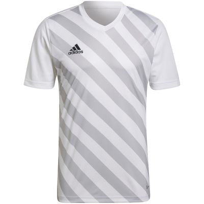 13. adidas Entrada 22 Graphic Jersey M HF0129