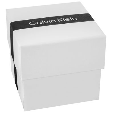 9. CALVIN KLEIN Timeless Mesh Damenuhr 25200001 + Box