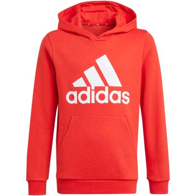 11. Adidas Essentials Big Logo Hoodie Jr GN4037 Sweatshirt