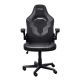 3. TRUST GXT703 RIYE GAMING CHAIR SCHWARZ Gamingstuhl (25128)
