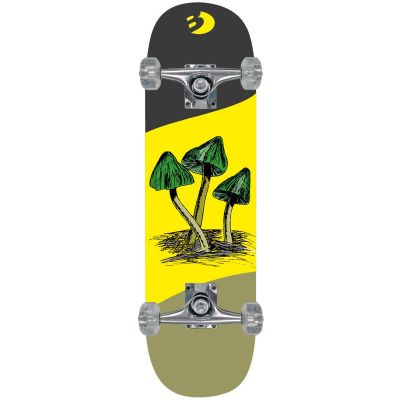9. Pilze – das beste Sport-Holzskateboard