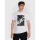 Herren-T-Shirt 4F 4FRAW25TTSHM3258-10S