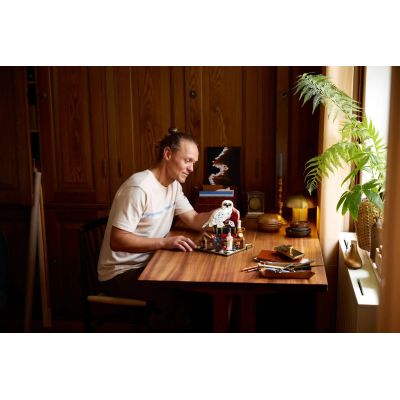 12. LEGO Harry Potter 76466 Stein der Weisen Sammleredition