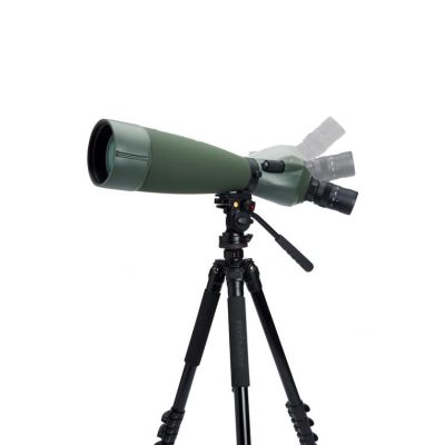 10. Celestron Regal M2 80ED 60x BaK-4 Zielfernrohr Schwarz, Grün