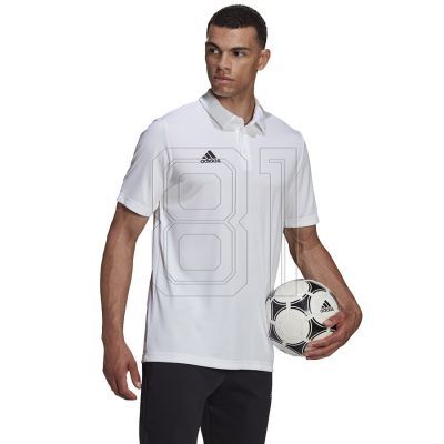 8. Adidas Entrada 22 Poloshirt M HC5067