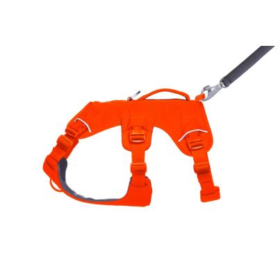 4. Ruffwear Web Master Harness – Leuchtorange, Größe: M