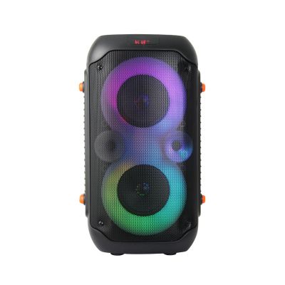 16. ESPERANZA LAUTSPRECHER BT FM LED RGB KARAOKE SINGER EP156