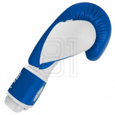 2. MASTERS RBT-TRW 01210-02 Leder-Boxhandschuhe