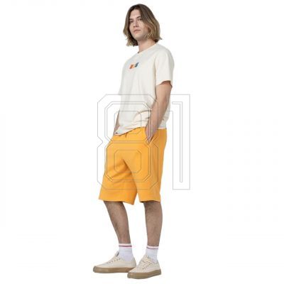 3. Shorts Outhorn M ACOTHSS23TSHOM132 74S