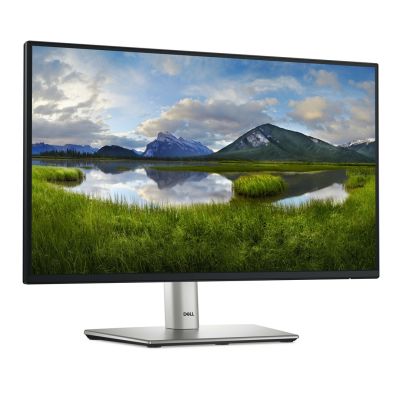 4. DELL P-Serie P2225H Computermonitor, 54,6 cm (21,5 Zoll), 1920 x 1080 Pixel Full HD LCD, Schwarz/Silber