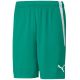 3. Puma teamLiga M 704924 05 Shorts
