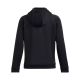 6. Under Armour Fleece Hoodie W 1386507-001