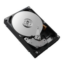DELL 161-BCFV 2,4 TB 10000 U/min 2,5" SAS-Festplatte