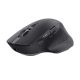 Trust OZAA+ MULTI-CONNECT Kabellose Maus Schwarz (24820)