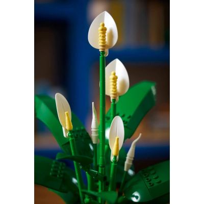 23. LEGO Botanical 11504 Spathiphyllum in einem Topf