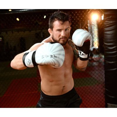 2. 10oz Boxhandschuhe - Japan - Valor Series